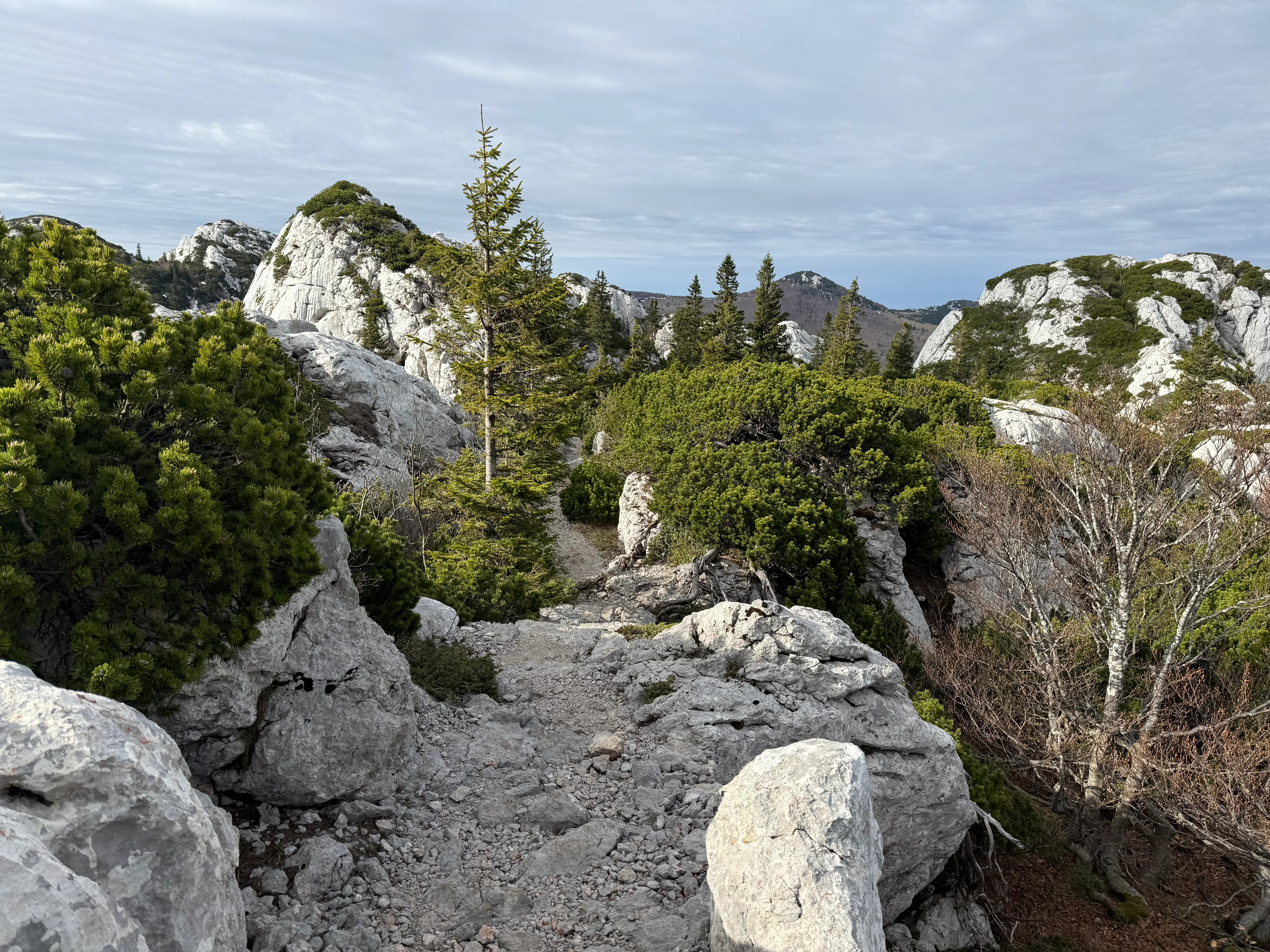 Chorwacja 2026 - góry Velebit-1783885971139.webp697x523