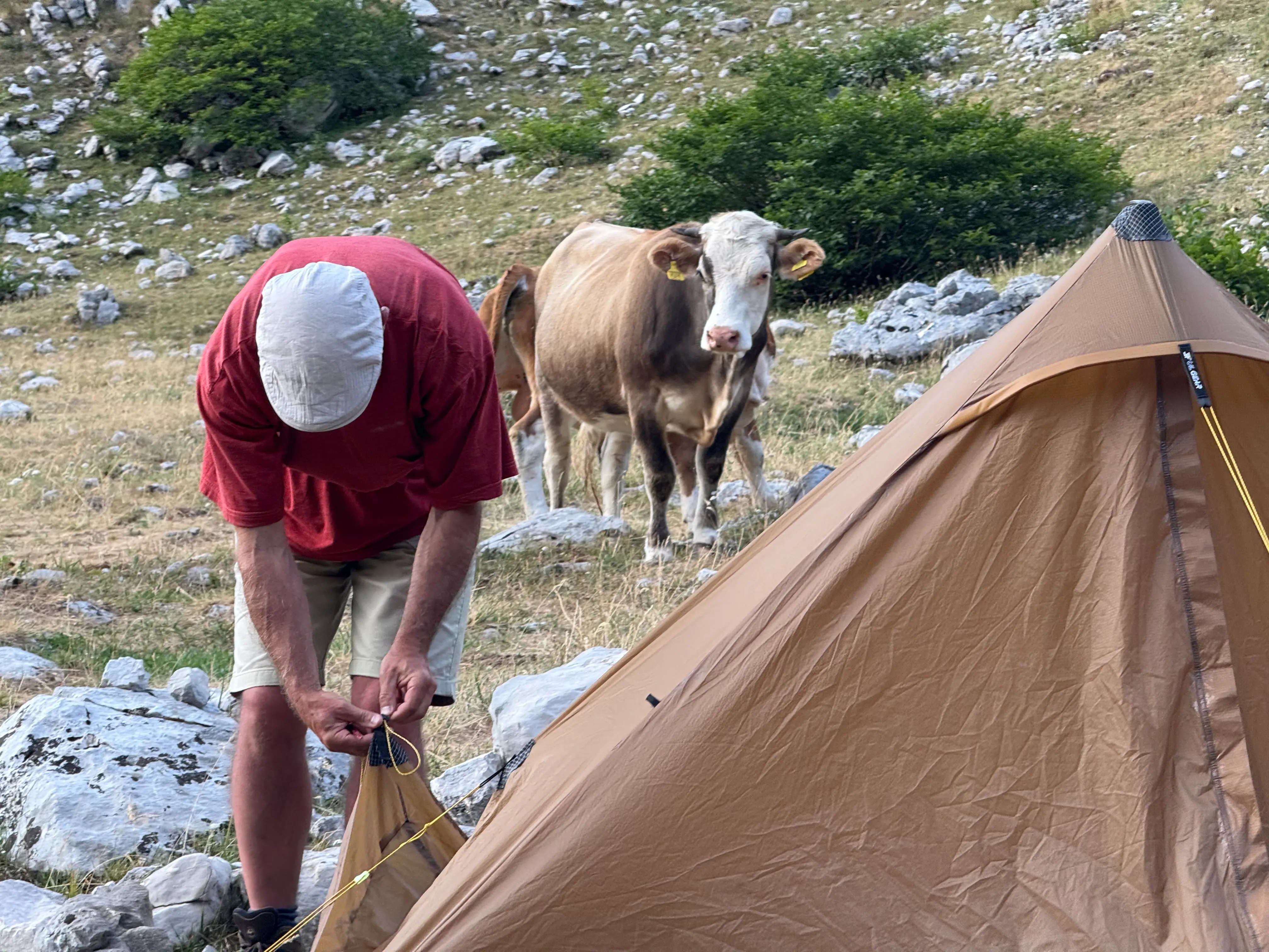 Czarnogóra - Durmitor 2025-1783660035859.webp