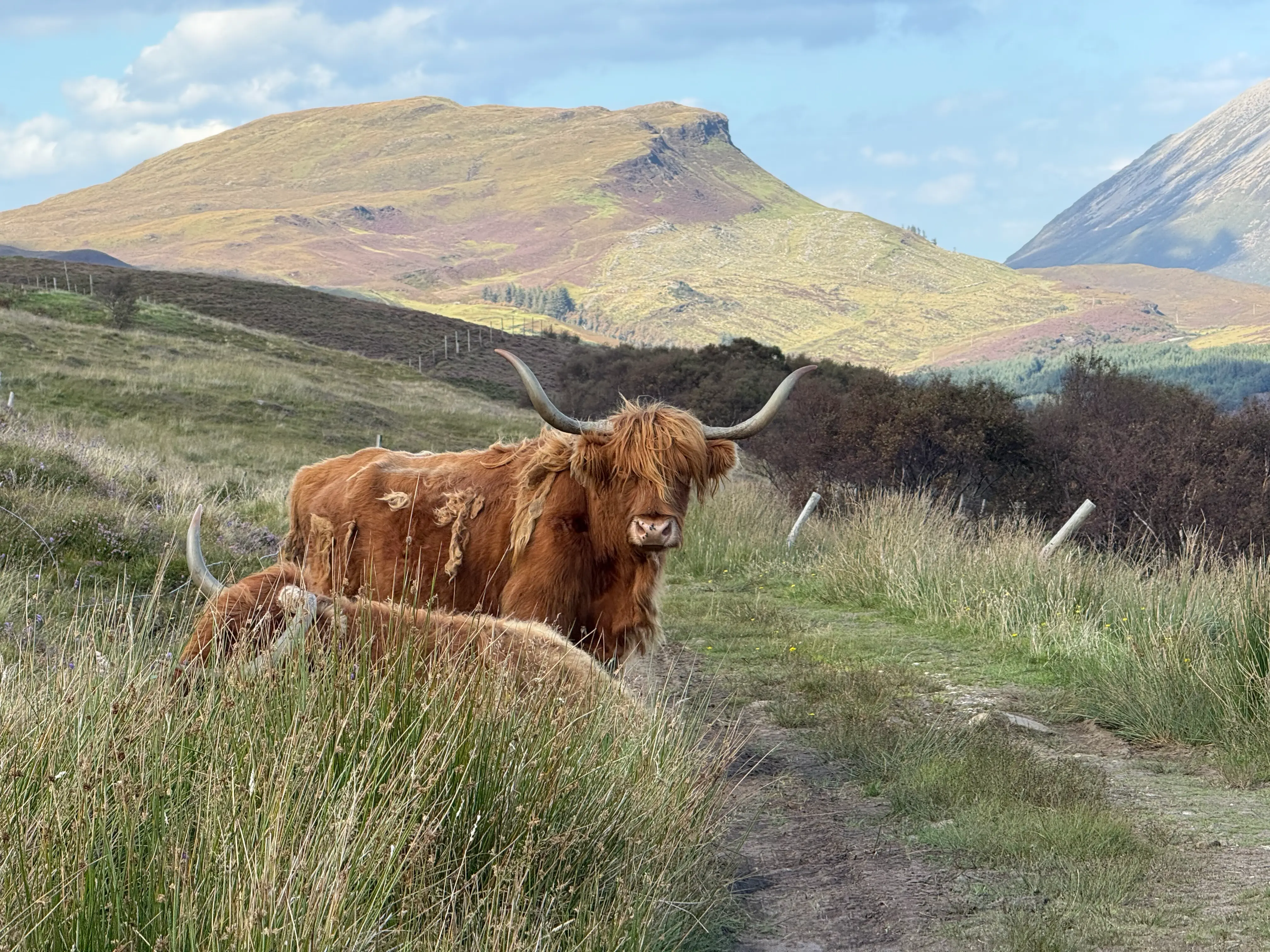 Szkocja 2025 - Skye Trail-1781345354710.webp