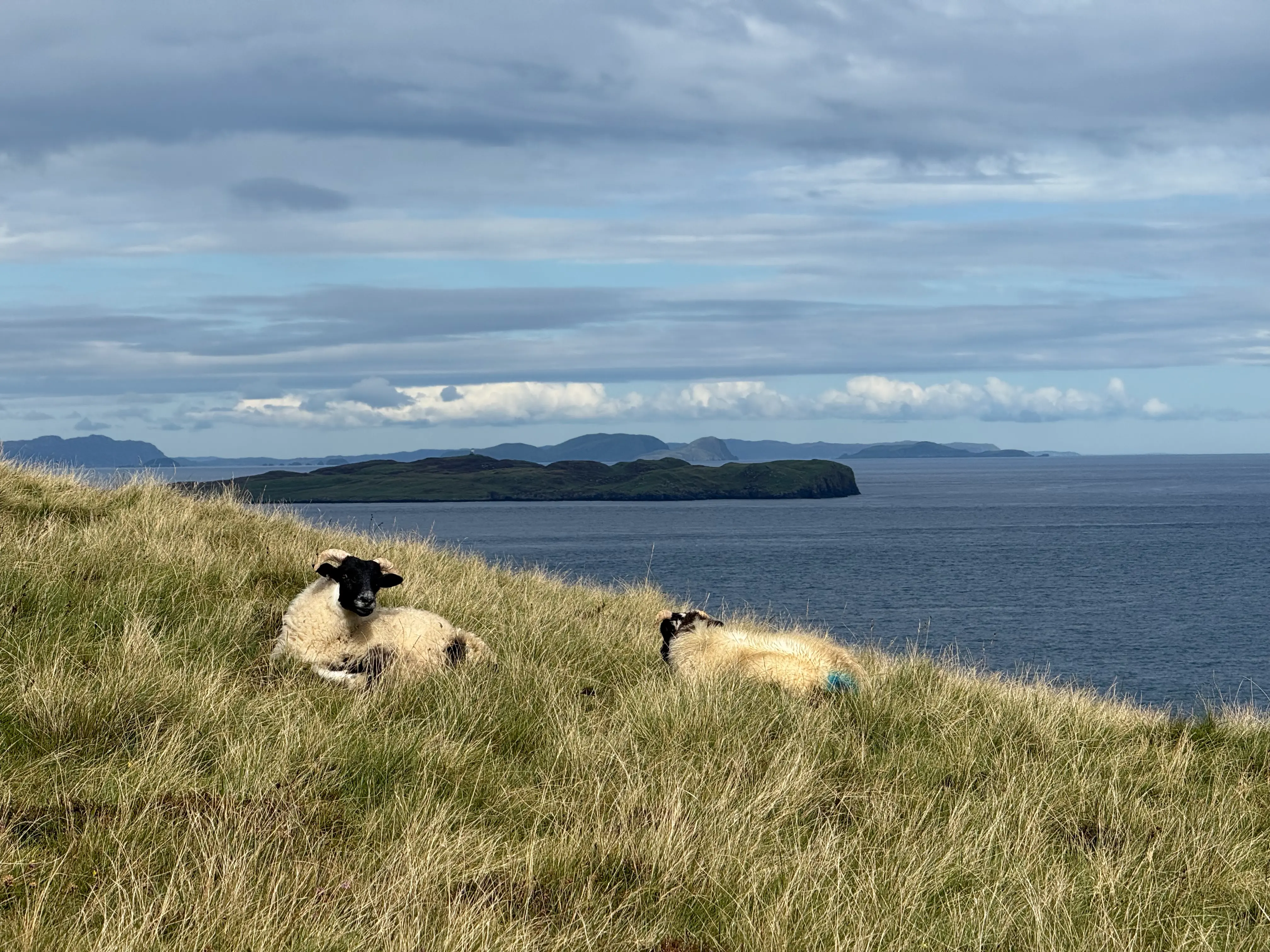 Szkocja 2025 - Skye Trail-1781345524448.webp